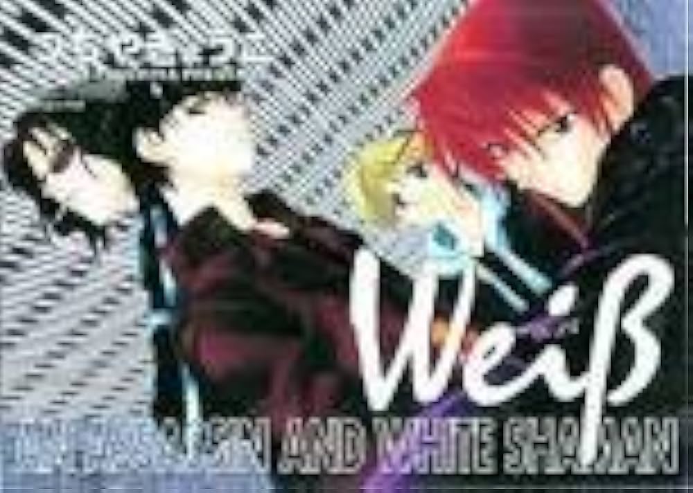 ヴァイス: AN ASSASSIN AND WHITE SHAMAN | つちや きょうこ |本