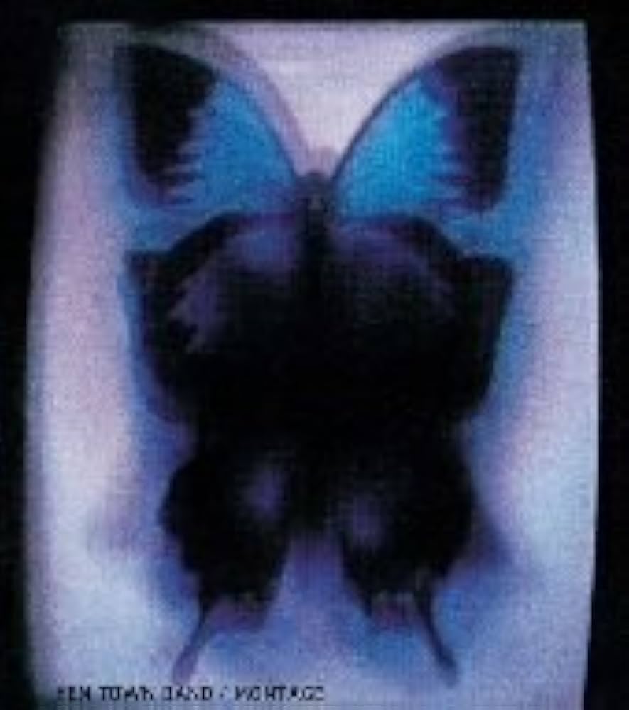 Amazon.co.jp: MONTAGE: ミュージック