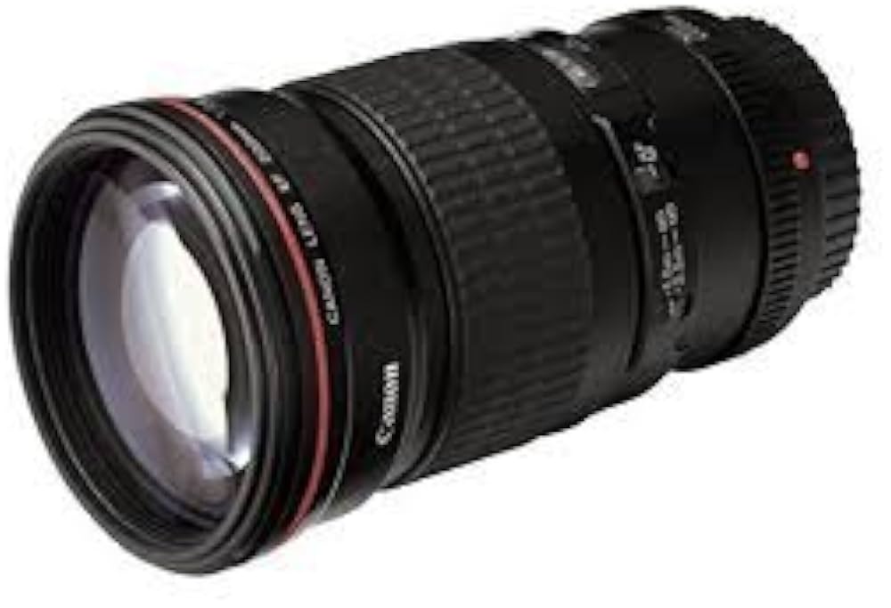 Amazon.co.jp: Canon 単焦点マクロレンズ EF100mm F2.8L マクロ IS USM
