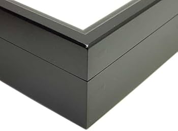 Amazon | 大型ドイツ型標本箱（黒） | 生態・採集 | おもちゃ