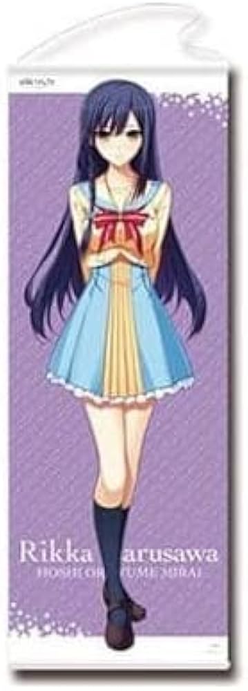 Amazon.co.jp: 鳴沢律佳 等身大タペストリー 星織ユメミライ : おもちゃ