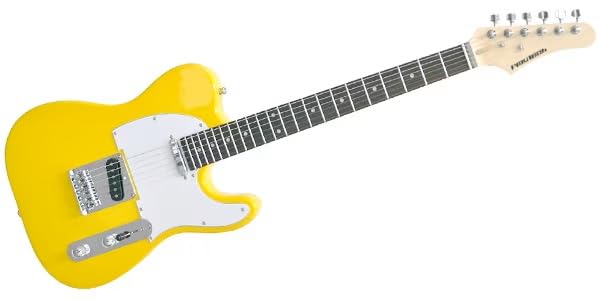 Amazon | PLAYTECH (プレイテック) エレキギター テレキャスタイプ