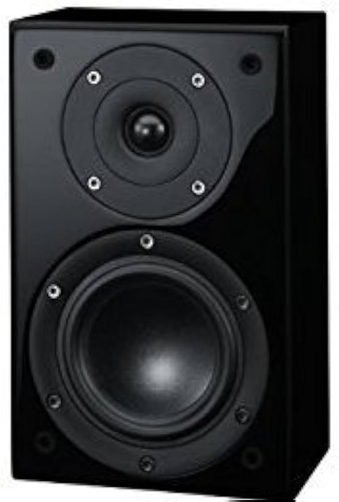 Amazon.co.jp: Denon スピーカー (1台) ブラック SC-A33SG-K : 家電