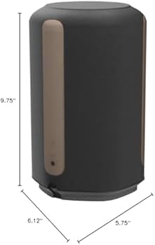 Amazon.com: Sony SRS-RA3000 360 Reality Audio Wi-Fi / Bluetooth