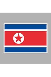 Amazon.co.jp: 北朝鮮 バッジ