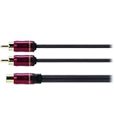 Amazon.co.jp: オーディオテクニカ AT-RS250/2.0 トリプルハイブリッド