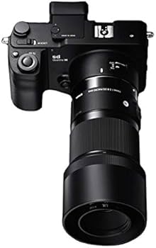 Amazon.com : Sigma 271965 70mm F2.8 Art DG Macro for Sony E, Black