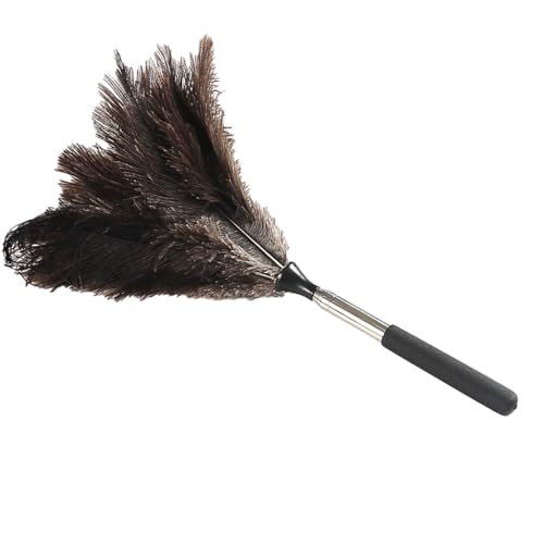 毛ばたき オーストリッチ」の人気商品一覧 | 安い商品を通販サイトから