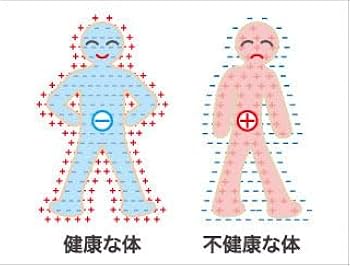 Amazon.co.jp: YBIの魔法のネックレス パワーネック／スーパー