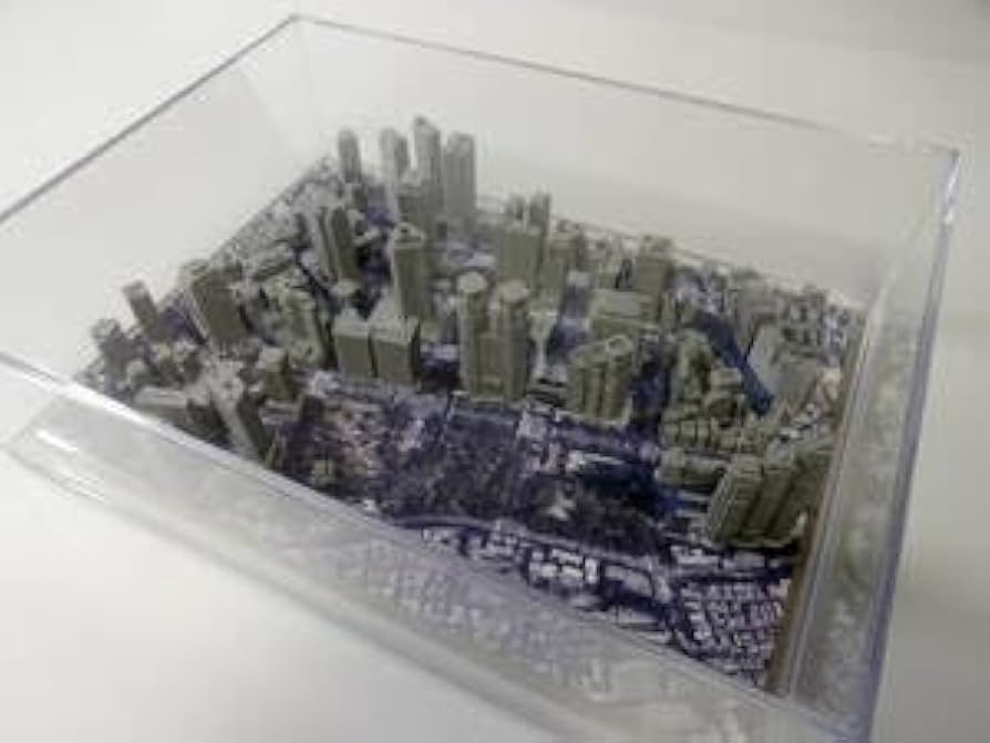 Amazon.co.jp: 新宿区 東京都庁 国土交通省の整備した3D都市データを