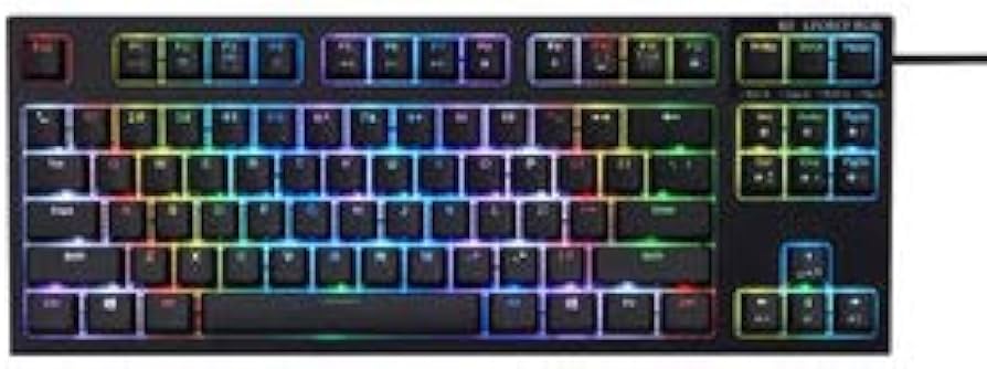 Amazon.co.jp: R2TLA-US4G-BK Realforce RGB TKL 有線キーボード 英語