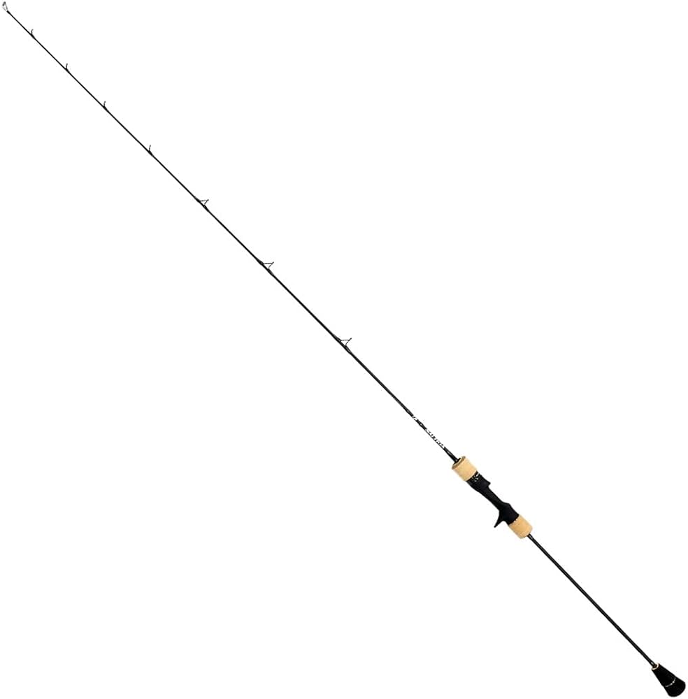 Amazon | ダイワ(DAIWA) ジギングロッド ソルティガ SJ AGS 55B-2 TG