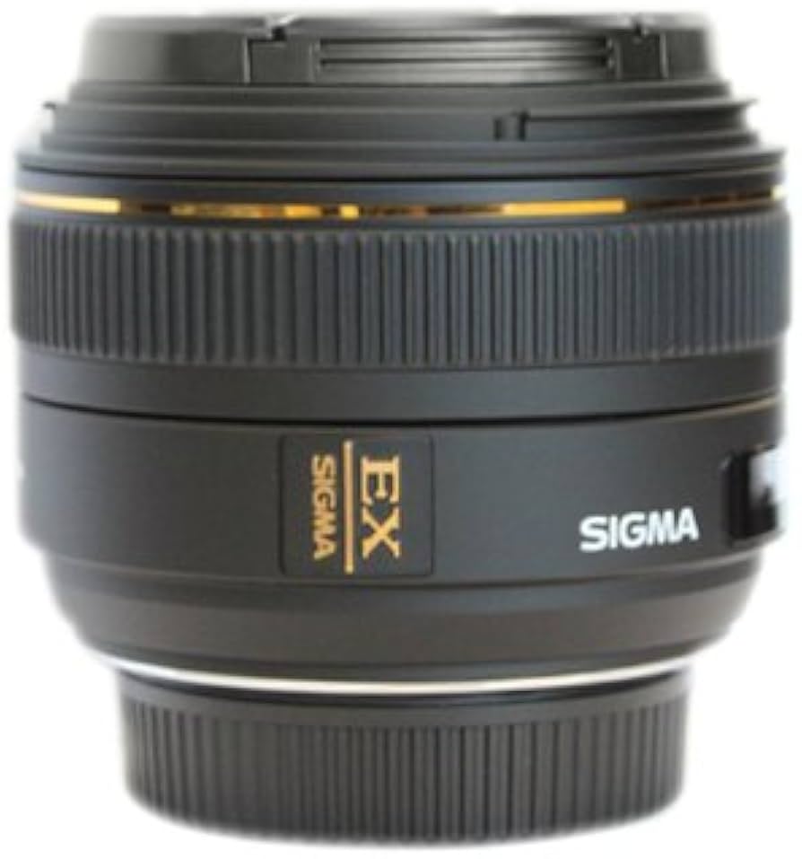 Amazon.com : Sigma 30mm f/1.4 EX DC HSM Lens for Nikon Digital SLR