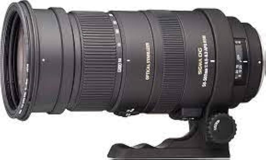 Amazon.com : Sigma 50-500mm F/4.5-6.3 APO DG OS HSM Lens for