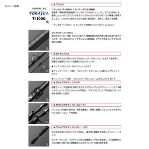 Amazon | エバーグリーン オライオン OCSC-67M カンタータ | エバー