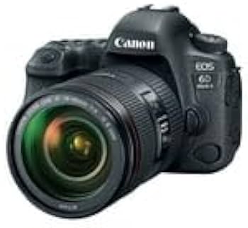 Amazon.com : Canon EOS 6D Mark II DSLR Camera with EF 24-105mm USM