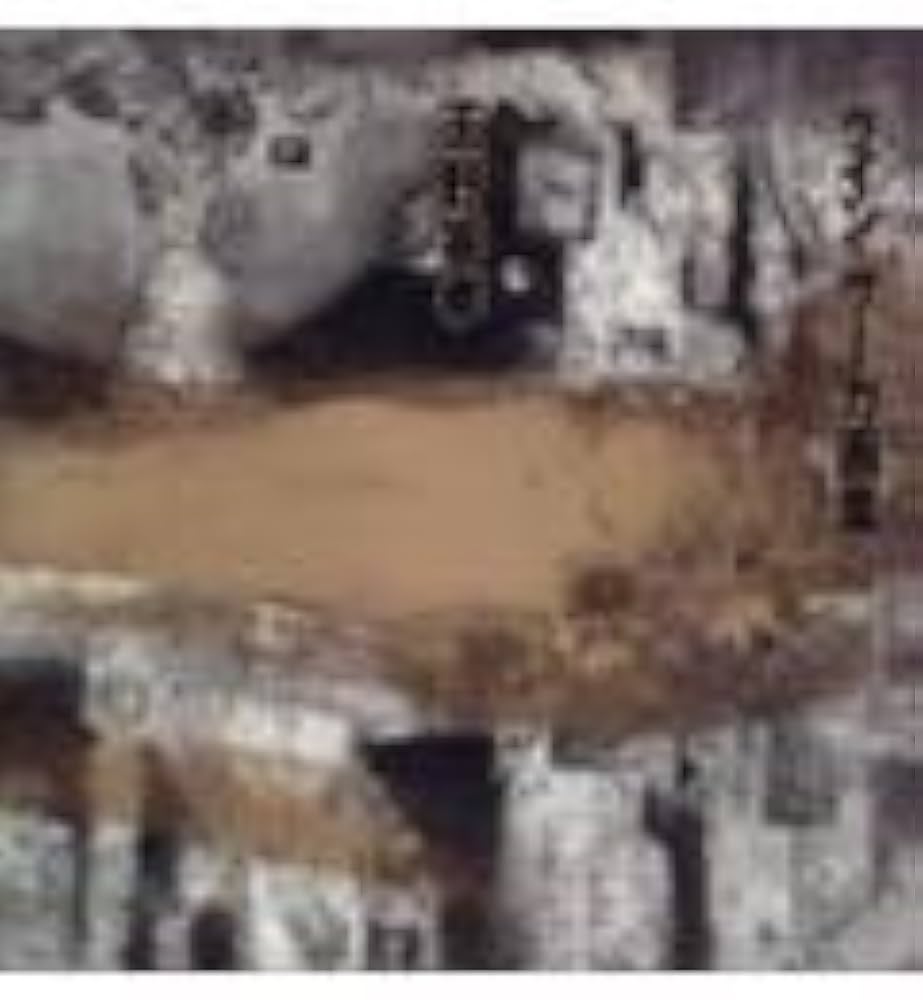 Amazon.co.jp: 天野喜孝グイン・サーガ画集 : 天野 喜孝: 本