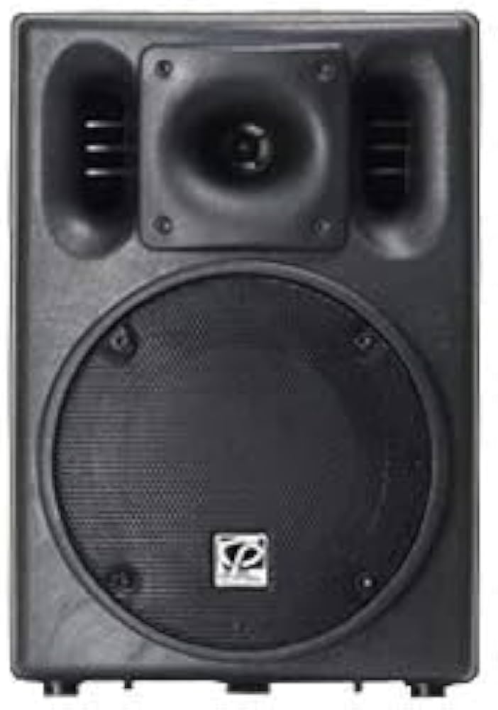 Amazon.co.jp: CLASSIC PRO (クラシックプロ) PAスピーカー パッシブ