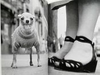 Amazon.co.jp: Elliott Erwitt Snaps エリオット・アーウィット