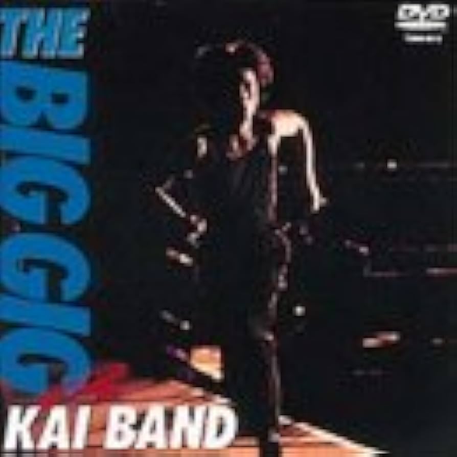 Amazon.co.jp: THE BIG GIG [DVD] : 甲斐バンド, 甲斐バンド: DVD