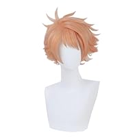 Amazon.co.jp: 埴之塚光邦 ハニー先輩 ウィッグ かつら コスプレ