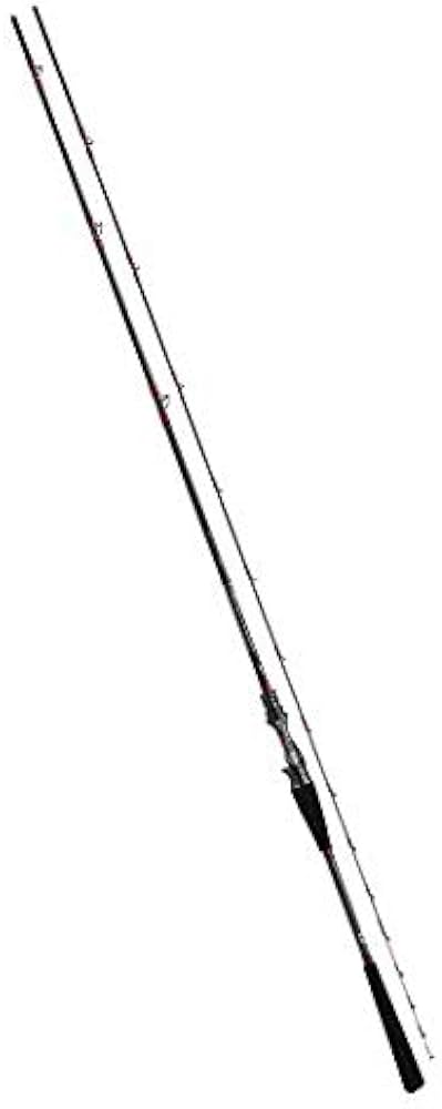 Amazon | ダイワ(DAIWA) 船竿 メタリア ライトヒラメ・Y MH-245・Y