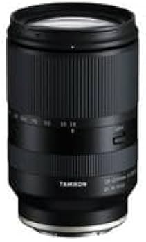 Amazon.com : Tamron 28-200 F/2.8-5.6 Di III RXD for Sony