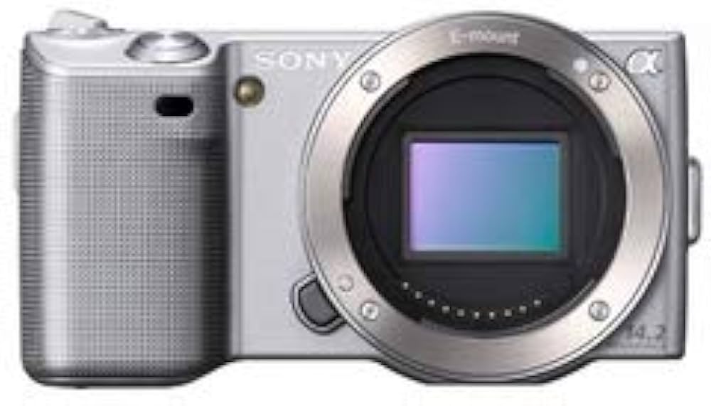 Amazon | SONY ミラーレス一眼 α NEX-5ボディ カラー：シルバー