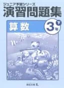 21hSi-BRSjL._AC_UF350,