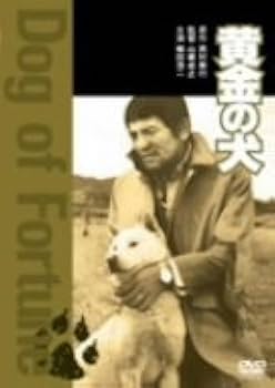 Amazon.co.jp: 黄金の犬 [DVD] : 森田健作, 島田陽子, 鶴田浩二, 夏