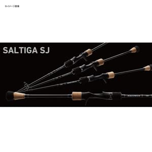 Amazon | ダイワ(DAIWA) スロージギングロッドロッド SALTIGA SJ 61B-1
