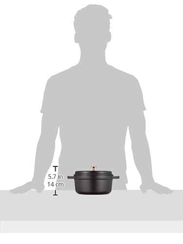 徹底検証】staub ストウブ ピコ ココット ラウンド ブラック 22cmの