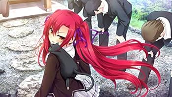 Amazon.co.jp: ノラと皇女と野良猫ハート2 - Switch (【永久封入特典