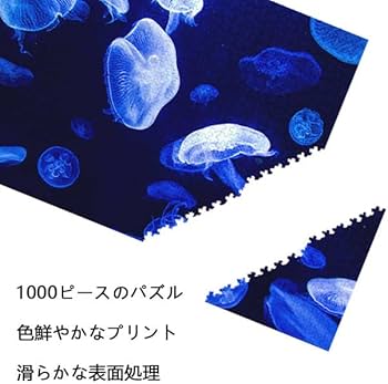 514FPt3DMiL._AC_UF350,