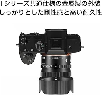Amazon.co.jp: シグマ(Sigma) レンズ 24mm F3.5 DG DN Sony ソニー E