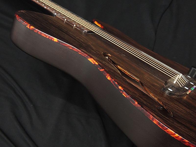 Amazon | SCHECTER OL-FL-P RNT Oriental Line シェクター 薄胴