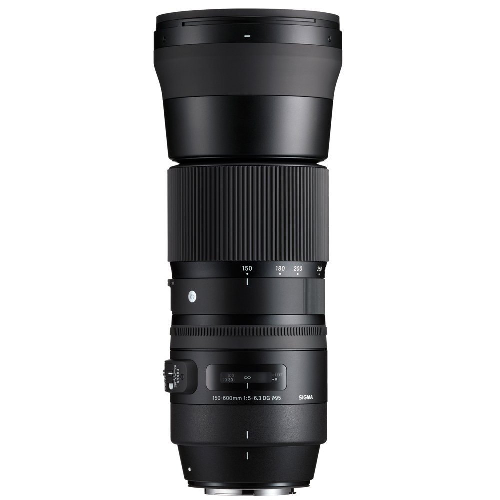 Amazon.com : Sigma 150-600mm F5-6.3 DG OS HSM Zoom Lens
