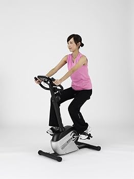 Amazon.co.jp: アルインコ(ALINCO) エアロマグネティックバイク5013