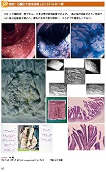 515IA55sBRL._AC_UF350,