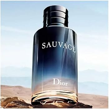 Amazon.com : Christian Dior Sauvage Eau De Toilette Spray for Men