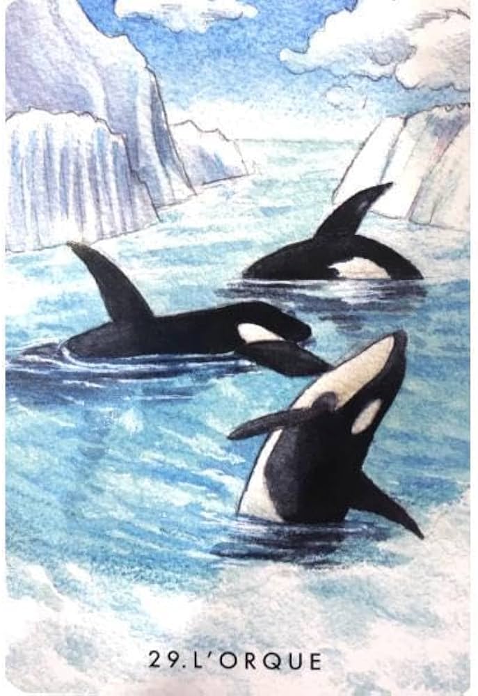 Amazon.co.jp: 入手困難水彩画の美麗デッキイルカやクジラに会える海の