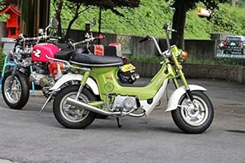 Amazon | ミニモト シャリィSPクラシックマフラーソリッド | フル