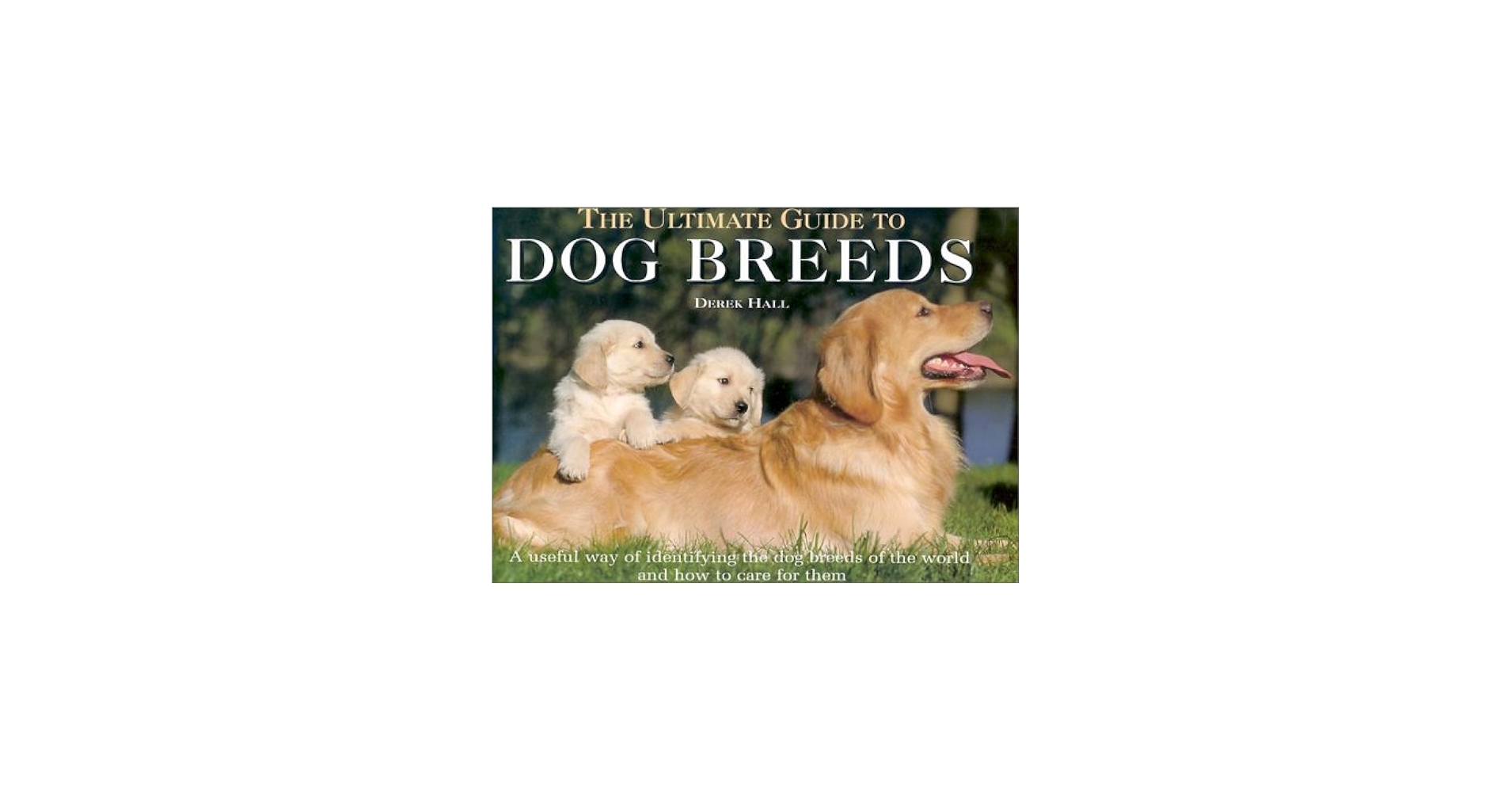 The Ultimate Guide to Dog Breeds: Hall, Derek: 9781853614781