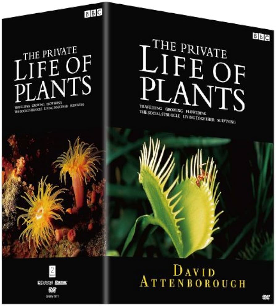 Amazon.co.jp: BBCドキュメント100シリーズ プライベート・ライフ