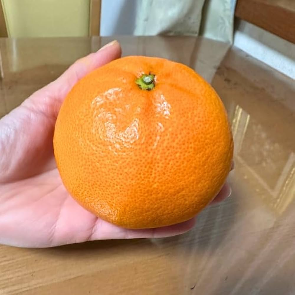 516xsQwQ20L._AC_UF1000,