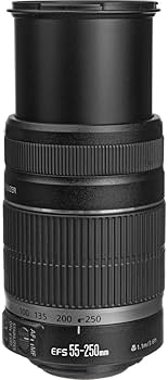 Amazon.co.jp: (白箱)EF-S55-250mm F4-5.6 IS II(#) : 家電＆カメラ