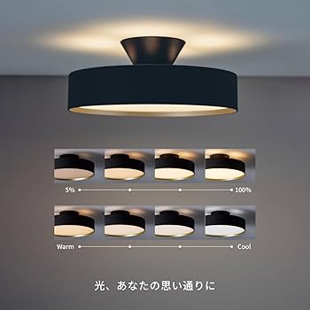 Amazon.co.jp: アートワークスタジオ グロー 4000 LED シーリング