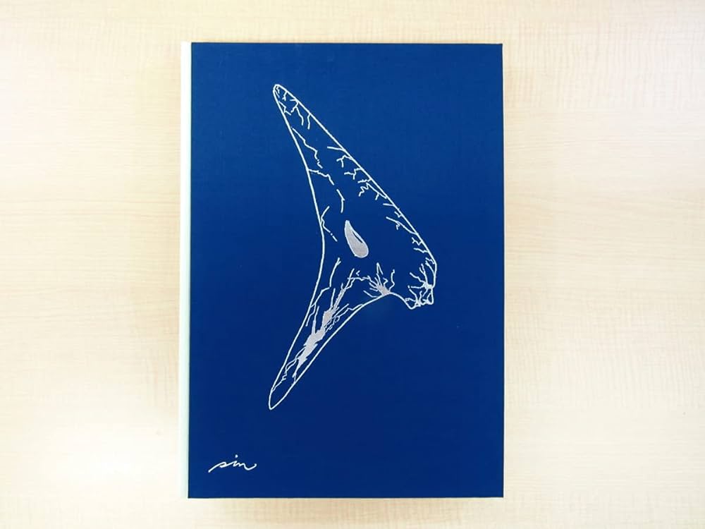 Amazon.co.jp: 完品 石原慎太郎『十代のエスキース』限定500部 1991年