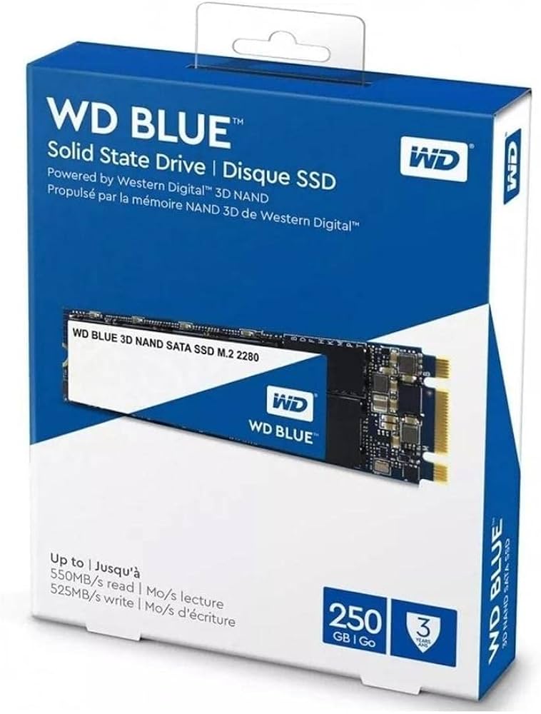 Amazon.com: Western Digital 250GB WD Blue 3D NAND Internal PC SSD