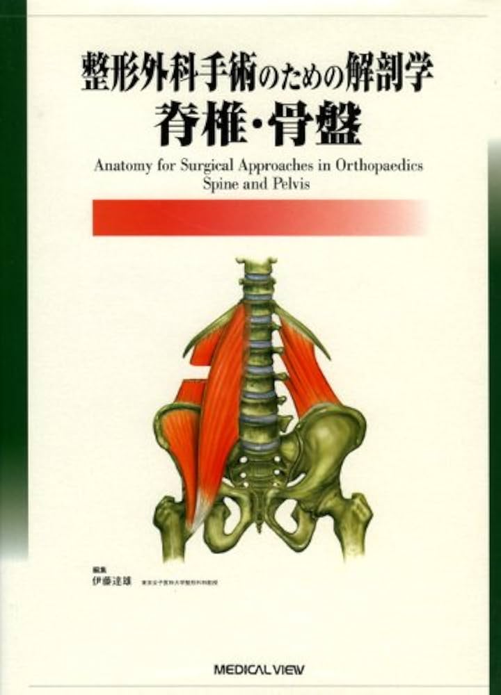 整形外科手術のための解剖学 -脊椎・骨盤 | 伊藤 達雄 |本 | 通販 | Amazon